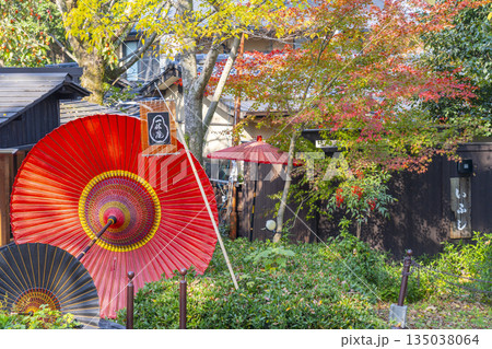 京都 円山公園 一休庵 秋の日本庭園 京都 円山公園 一休庵 秋の日本庭園 135038064