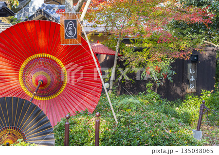 京都　円山公園　一休庵　秋の日本庭園 135038065