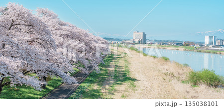 Kitakami Tenshochi Park with Sakura Cherry Blossom in Spring, Kitakami festival. Iwate mountain and Kitakami river in Iwate prefecture, Japan. Famous Landmark for Travel and Vacation destination Kitakami Tenshochi Park with Sakura Cherry Blossom in Spring, Kitakami festival. Iwate mountain and Kitakami river in Iwate prefecture, Japan. Famous Landmark for Travel and Vacation destination 135038101
