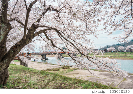 Beautiful Sakura Cherry Blossom in Hinokinai River riverbank in Kakunodate town, Semboku District, Akita Prefecture, Japan. Landmark and Vacation in spring season Beautiful Sakura Cherry Blossom in Hinokinai River riverbank in Kakunodate town, Semboku District, Akita Prefecture, Japan. Landmark and Vacation in spring season 135038120