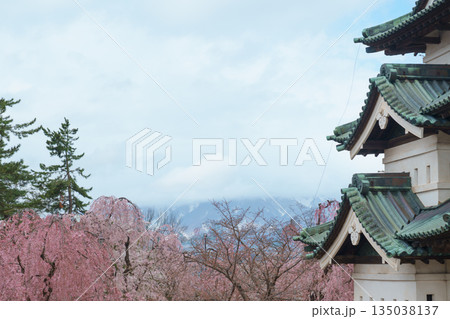 Beautiful Hirosaki Castle park with Sakura Cherry Blossom and Iwaki mount in Spring, traveling in Hirosaki city, Aomori, Tohoku, Japan. Landmark famous in Japan. Travel and Vacation destination Beautiful Hirosaki Castle park with Sakura Cherry Blossom and Iwaki mount in Spring, traveling in Hirosaki city, Aomori, Tohoku, Japan. Landmark famous in Japan. Travel and Vacation destination 135038137