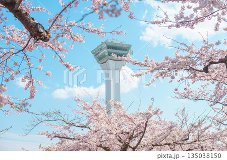 Beautiful Sakura Cherry Blossom in Spring season. Goryokaku Tower park in Hakodate city, Hokkaido prefecture, Japan. famous Landmark, Japan Travel and Vacation destination 135038150