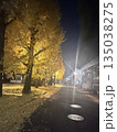 夜の散歩道沿いのイチョウの木 135038275