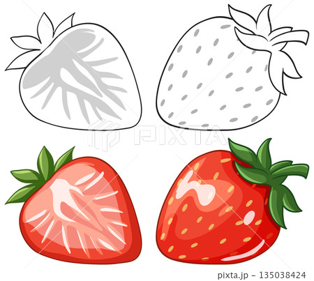 Vector Illustration Set of Whole and Sliced Red Strawberries with Outlines 135038424