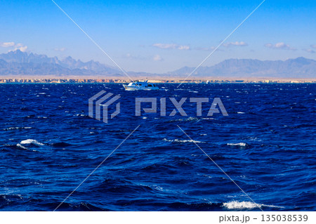 White yacht sailing in Red sea, Egypt 135038539