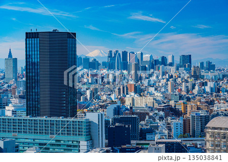 （東京都）新宿の超高層ビル群と富士山 135038841