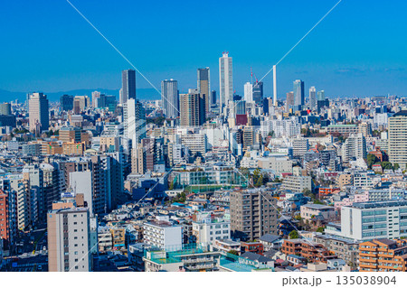 （東京都）東京都市風景・池袋サンシャインシティ方面 135038904