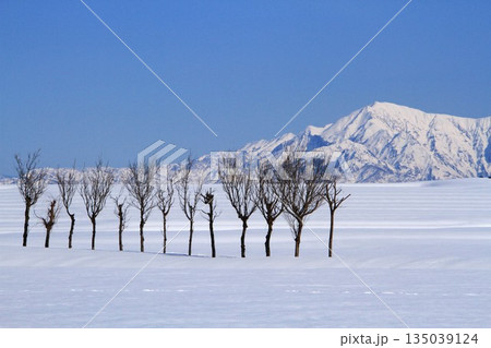 雪原のハサ木・越後三山雪景色 135039124