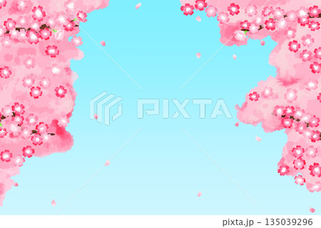 満開の桜が花びらを散らしながら咲いている背景 135039296