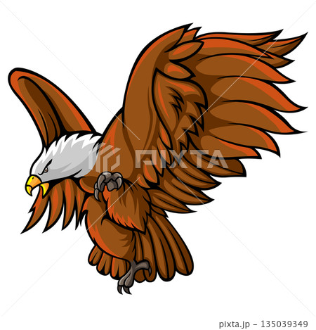 Eagle Illustration in Dynamic Flying Pose Eagle Illustration in Dynamic Flying Pose 135039349
