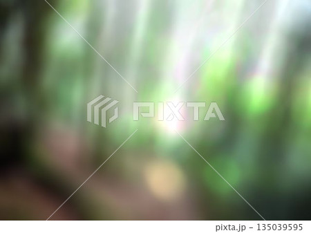 Blurry forest on a sunny day 135039595