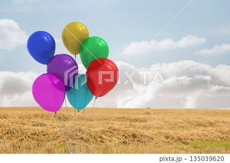 Flat design featuring eight helium balloons floating above stubble field under blue sky, copy space Flat design featuring eight helium balloons floating above stubble field under blue sky, copy space 135039620