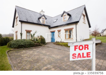 For sale signboard in front of house 135039756