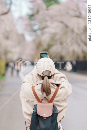 Woman tourist sightseeing and taking photo Sakura Cherry Blossom in Spring. traveler travel in Samurai village in Kakunodate town, Semboku District, Akita Prefecture, Japan. Landmark and vacation 135040062