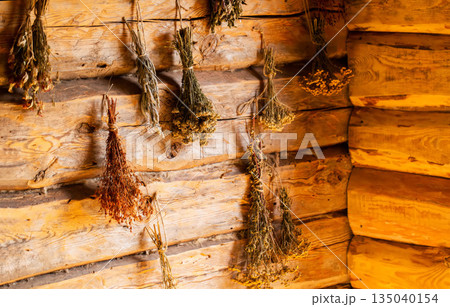 Bunches of medicinal herbs hang in a village hut against a log wall. The herbs include nettle, calendula, and chamomile, close-up Bunches of medicinal herbs hang in a village hut against a log wall. The herbs include nettle, calendula, and chamomile, close-up 135040154