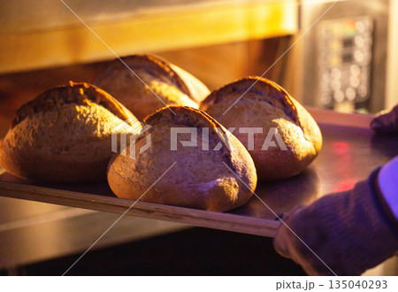Four round loaves of golden-brown bread on metal tray placed into brightly lit oven by gloved hand, artisan bakery production Four round loaves of golden-brown bread on metal tray placed into brightly lit oven by gloved hand, artisan bakery production 135040293