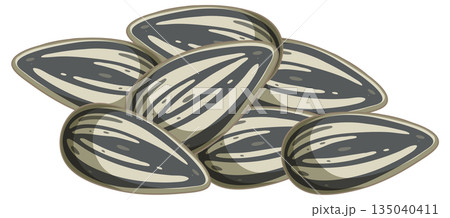 Vector Illustration of Sunflower Seeds in Pile 135040411