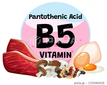 Vitamin B5 Food Sources with Meat, Eggs, and Mushrooms Vitamin B5 Food Sources with Meat, Eggs, and Mushrooms 135040450