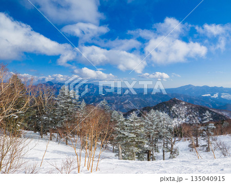 雪を纏った針葉樹の林と背景に連なる冬の山岳地帯 (群馬県、川場) 雪を纏った針葉樹の林と背景に連なる冬の山岳地帯 (群馬県、川場) 135040915