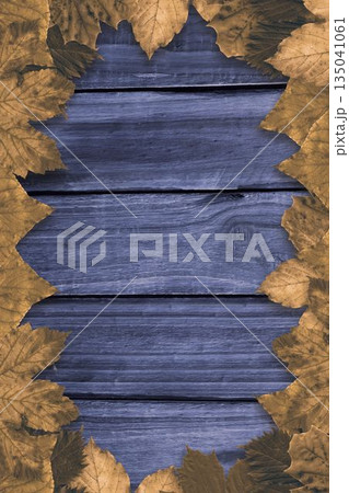 Blue-painted wooden planks are being shown on flat-lay scene, with dried golden-brown leaves border Blue-painted wooden planks are being shown on flat-lay scene, with dried golden-brown leaves border 135041061