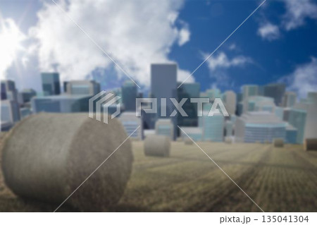 Hay bale on field and buildings 135041304