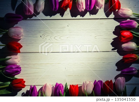 Flat design art is showing colorful tulip blossoms bordering whitewashed planks, copy space 135041550