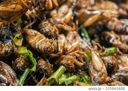Crispy fried grasshoppers a high-protein insect snack, popular Thai street food delicacy 135041688