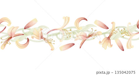 Watercolor blooming honeysuckle vine seamless border isolated on white. Spring garden blossom repeat horizontal banner. Pastel green and pink flowers on climbing liana for summer nature floral designs Watercolor blooming honeysuckle vine seamless border isolated on white. Spring garden blossom repeat horizontal banner. Pastel green and pink flowers on climbing liana for summer nature floral designs 135042075