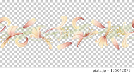 Watercolor blooming honeysuckle vine seamless border isolated on white. Spring garden blossom repeat horizontal banner. Pastel green and pink flowers on climbing liana for summer nature floral designs Watercolor blooming honeysuckle vine seamless border isolated on white. Spring garden blossom repeat horizontal banner. Pastel green and pink flowers on climbing liana for summer nature floral designs 135042075