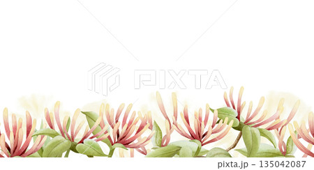Spring blooming garden flowers watercolor seamless border. Honeysuckle blossom with pollen repeat bottom banner. Pastel green, beige and pink climbing vine for summer nature floral designs 135042087