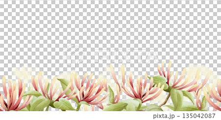 Spring blooming garden flowers watercolor seamless border. Honeysuckle blossom with pollen repeat bottom banner. Pastel green, beige and pink climbing vine for summer nature floral designs 135042087