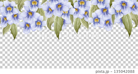 Summer violet vine flowers watercolor seamless border isolated on white. Garden pastel purple blooming creeper plant with leaves for floral designs. Exotic Thunbergia repeat upper banner Summer violet vine flowers watercolor seamless border isolated on white. Garden pastel purple blooming creeper plant with leaves for floral designs. Exotic Thunbergia repeat upper banner 135042088