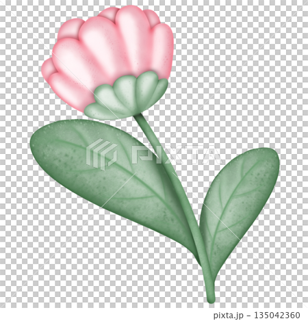 flower, blossom, watercolor 135042360