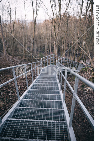 Steel staircase winding down a forest path in a tranquil evening woodland 135043119