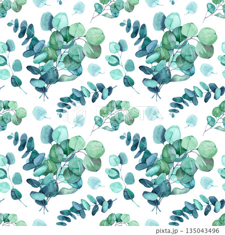 Stylish watercolor illustration of eucalyptus branches and rounded leaves. Contemporary botanical pattern with fresh organic feeling, suitable for eco branding, weddings, packaging and modern surface 135043496