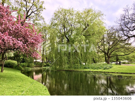 春 泉 湧水 135043606