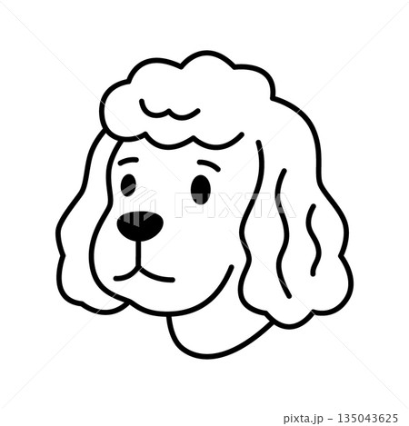 Poodle dog with fluffy ears and top hair. Cute cartoon vector face in black and white for grooming, fashion, and pet themes 135043625