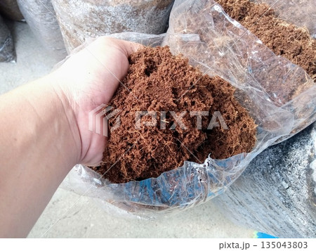 Hand Holding Raw Brown Cocopeat Fiber Coconut Husk Substrate for Hydroponics and Planting Hand Holding Raw Brown Cocopeat Fiber Coconut Husk Substrate for Hydroponics and Planting 135043803