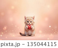 Adorable fluffy cat with heart symbol of love 135044115