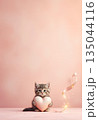 Tender cat holding heart on dreamy pink background 135044116