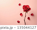 Romantic card with one red rose 135044127