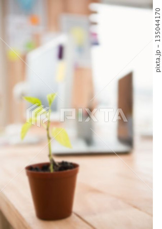 Defocused image of potted plant on table Defocused image of potted plant on table 135044170