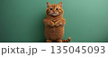 135045093