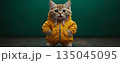 135045095