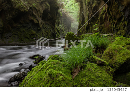 神秘の渓谷樽前ガロー 135045427