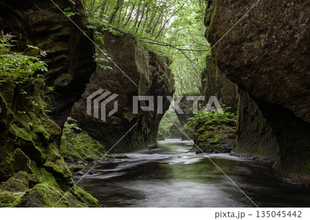 神秘の渓谷樽前ガロー 神秘の渓谷樽前ガロー 135045442