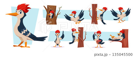 Woodpecker. Forest bird on tree exact vector cute childish woodpecker in cartoon style 135045500