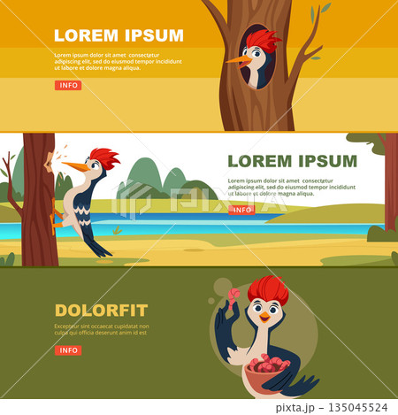 Woodpecker. banners with funny cartoon wild bird woodpecker in action poses Woodpecker. banners with funny cartoon wild bird woodpecker in action poses 135045524