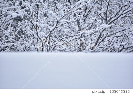 積る雪 135045556