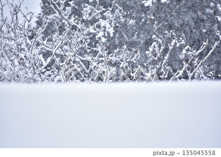 積る雪 135045558